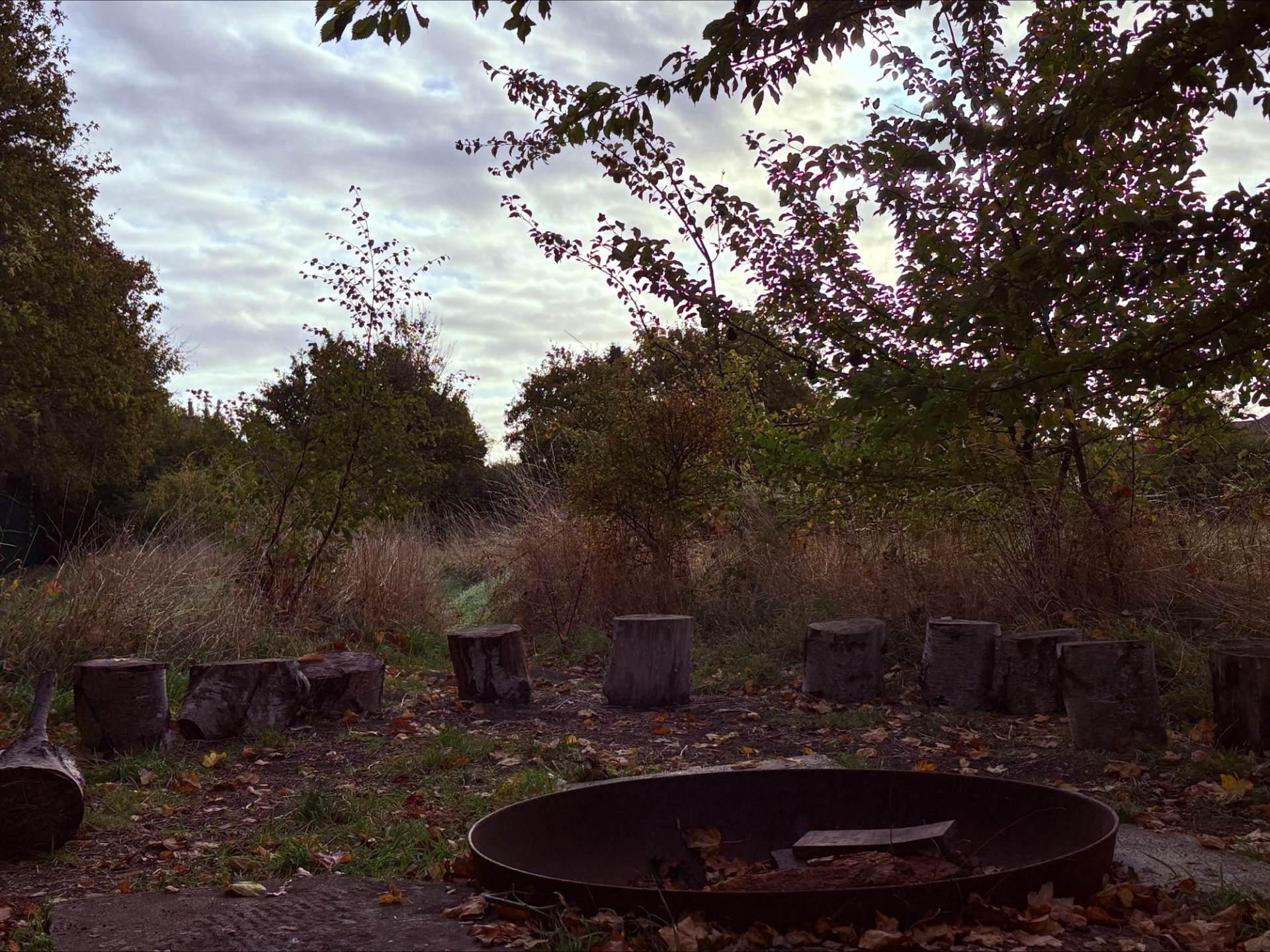 Forest school fire pit